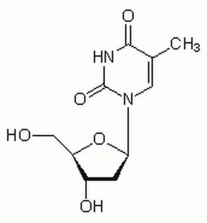胸苷- CAS 50-89-5 - Calbiochem