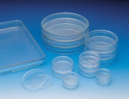 Nunclon&#174; cell culture dishes diam. 60&#160;mm, with lid, Nunclon&#174; Delta treated, case of 120&#160;ea