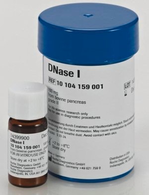 DNase I grade II, from bovine pancreas