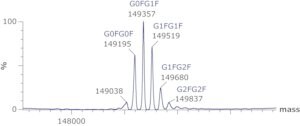 SILu&#8482;Lite SigmaMAb Bevacizumab Monoclonal Antibody recombinant, expressed in CHO cells