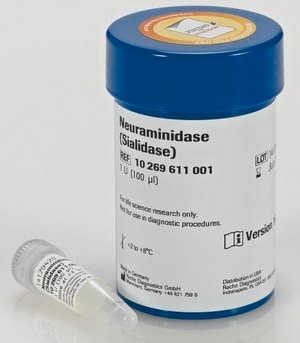 Neuraminidase (Sialidase) from Arthrobacter ureafaciens