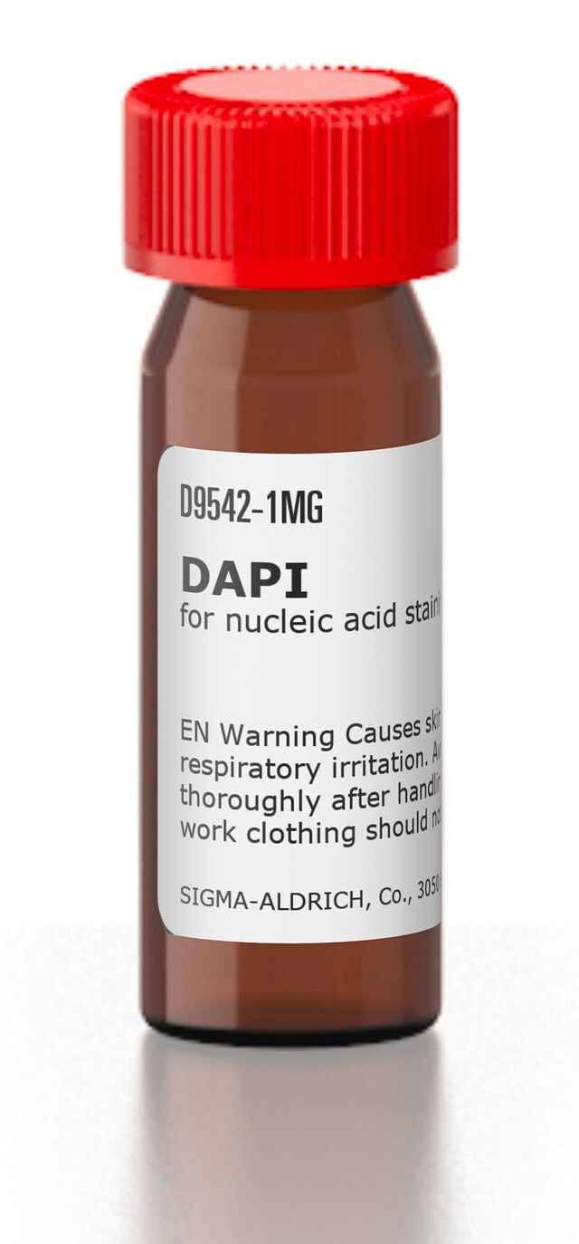 DAPI for nucleic acid staining | Sigma-Aldrich
