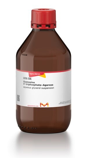鸟苷 5&#8242;--三磷酸盐-琼脂糖 aqueous glycerol suspension