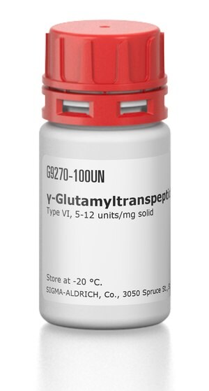 &#947;-Glutamyltranspeptidase from equine kidney Type VI, 5-12&#160;units/mg solid