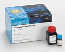 细胞毒性检测试剂盒PLUS （LDH）