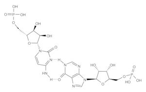 聚肌苷酸-聚胞苷酸 钠盐 TLR ligand tested
