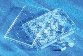 Corning&#174; Transwell&#174; polycarbonate membrane cell culture inserts 6.5 mm Transwell with 3.0 &#956;m pore polycarbonate membrane insert, TC-treated, w/ lid, sterile, 48/cs