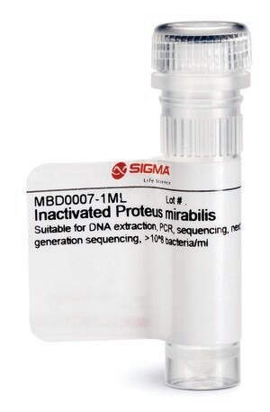 Inactivated Proteus mirabilis Suitable for DNA extraction, PCR, sequencing, next generation sequencing, &gt;10^8 bacteria/ml