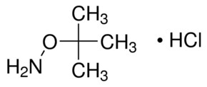 O-叔丁基羟胺 盐酸盐 &#8805;99.0% (AT)