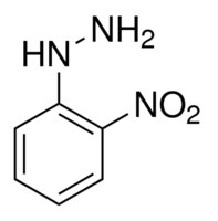 2-硝基苯肼 97%