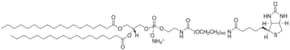 DSPE-PEG(2000) Biotin Avanti Polar Lipids 880129P, powder