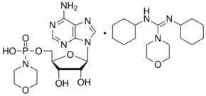 5&#8242;-一磷酸吗啡腺苷 N,N'-二环己基-4-吗啉脒盐