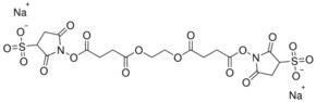 Sulfo-EGS (ethylene glycol bis(sulfosuccinimidyl succinate))