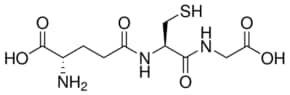 谷胱甘肽，还原型，游离酸 CAS 70-18-8 - Calbiochem Glutathione, Reduced, Free Acid, CAS 70-18-8, is a tripeptide that serves as an endogenous antioxidant and provides protection against auto-oxidation.