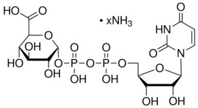 尿苷-5′-二磷酸葡糖醛酸 铵盐 98-100%