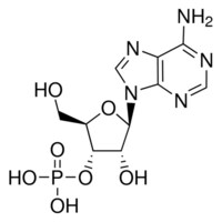 腺苷 3'-单磷酸 from yeast