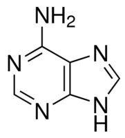 腺嘌呤 Vetec&#8482;, reagent grade, &#8805;99%