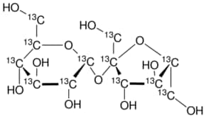 Sucrose-13C12 99 atom % 13C, 99% (CP)