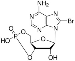 8-溴腺苷-3',5'-环单磷酸 &#8805;97% (HPLC)