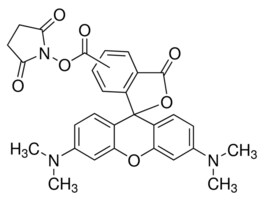 5(6)-羧基四甲基罗丹明N-琥珀酰亚胺酯 BioReagent, suitable for fluorescence, &#8805;70% (coupling to amines)