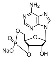 腺苷 3',5'-环单磷酸 钠盐 一水合物 &#8805;98.0% (HPLC), powder