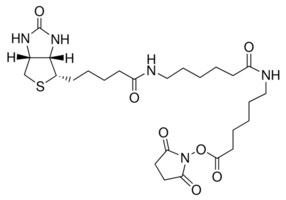 Biotinamidohexanoyl-6-aminohexanoic acid N-hydroxysuccinimide ester &#8805;95% (TLC), powder