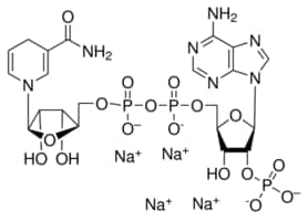 &#946;-Nicotinamide adenine dinucleotide 2&#8242;-phosphate reduced tetrasodium salt hydrate &#8805;97% (HPLC)
