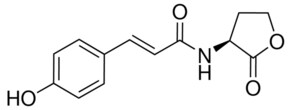 N-(对香豆酰基)-L-高丝氨酸内酯 &#8805;94% (HPLC)
