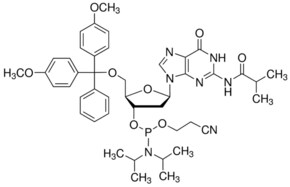DMT-dG（ib）亚磷酰胺 configured for ABI