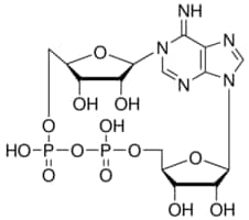 环二磷酸腺苷核酸糖 &#8805;90% (HPLC), lyophilized powder