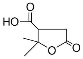 TEREBIC ACID(TETRAHYDRO-2,2-DIMETHYL-5-OXO-3-FURANCARBOXYLIC ACID) AldrichCPR