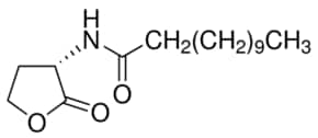 N-十二烷酰-L-高丝氨酸内酯 &#8805;96% (HPLC)
