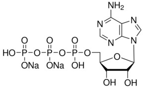 腺苷 5&#8242;-三磷酸 二钠盐 溶液 Crystalline ATP, HPLC purified, aqueous solution for RNA transcription