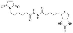 生物素-马来酰亚胺 &#8805;95% (TLC), powder