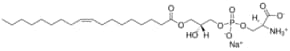 1-油酰基-2-羟基-sn-甘油基-3-磷酸-L-丝氨酸（钠盐） 1-oleoyl-2-hydroxy-sn-glycero-3-phospho-L-serine (sodium salt), powder