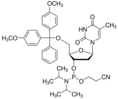 DMT-dT亚磷酰胺 configured for ABI