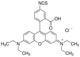 Rhodamine B isothiocyanate mixed isomers