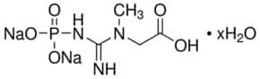 磷酸肌酸 二钠盐 水合物 &#8805;97%