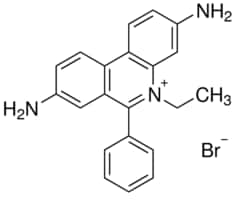 Ethidium bromide solution BioReagent, for molecular biology, 10&#160;mg/mL in H2O