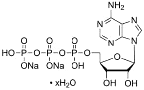 Adenosine 5&#8242;-triphosphate disodium salt hydrate Grade I, &#8805;99%, from microbial