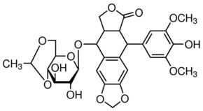 Etoposide synthetic, 95.0-105.0%, powder