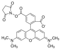 6-羧基四甲基罗丹明琥珀酰亚胺酯 BioReagent, suitable for fluorescence