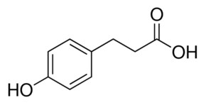 3-(4-Hydroxyphenyl)propionic acid 98%