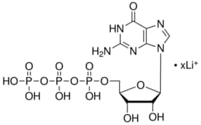 5′-三磷酸鸟苷三钠三磷酸鸟苷三钠 锂盐 ~95% (HPLC), powder