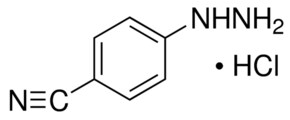 4-Cyanophenylhydrazine hydrochloride 97%