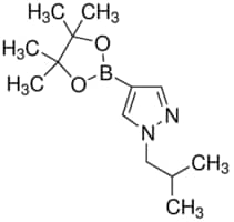 1-异丁基吡唑-4-硼酸频哪醇酯 95%