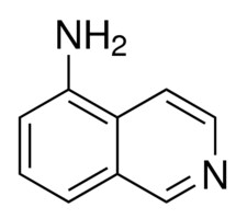 5-氨基异喹啉 99%