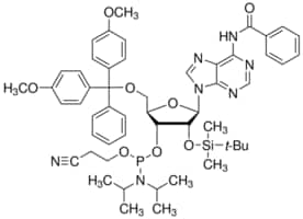 DMT-2&#8242;O-TBDMS-rA (bz) 亚磷酰胺 configured for MerMade