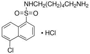 N-(6-氨基己基)-5-氯-1-萘磺酰胺 盐酸盐