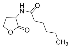 N-己酰基- DL -高丝氨酸内酯 &#8805;97.0% (HPLC)